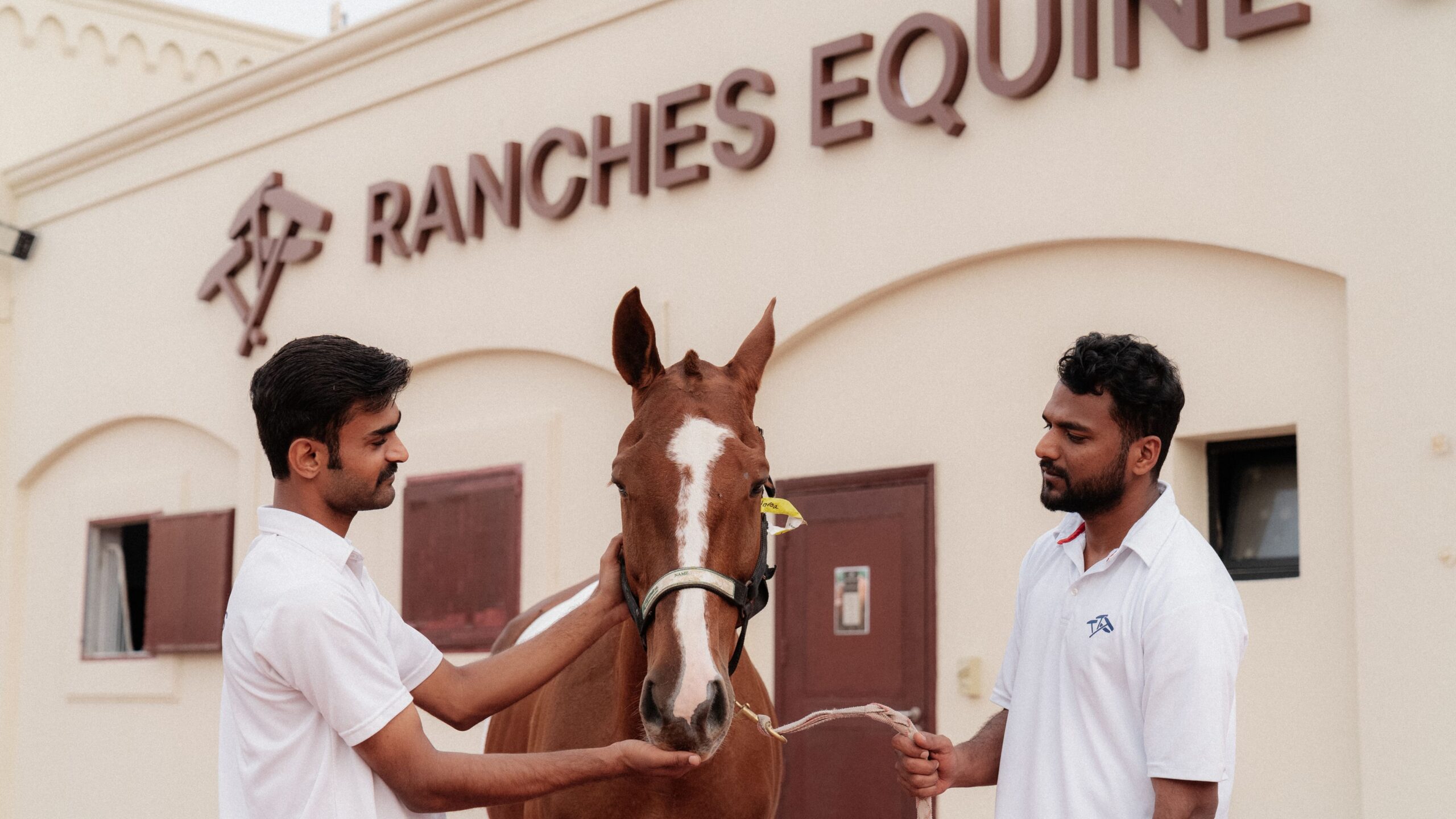 RANCHES EQUINE CLINIC